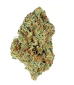 Bio-Jesus Hybrid Weed